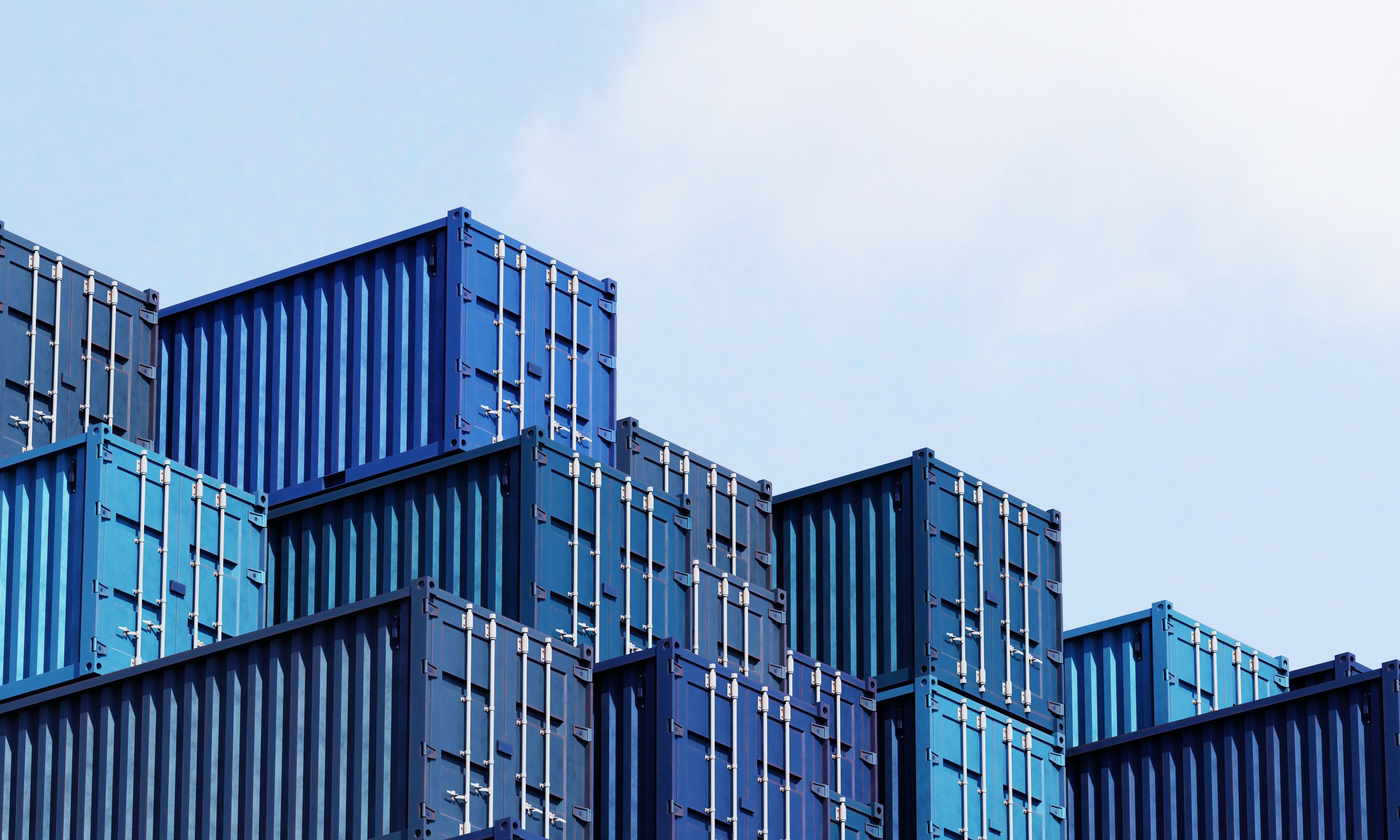 Container merci dogana